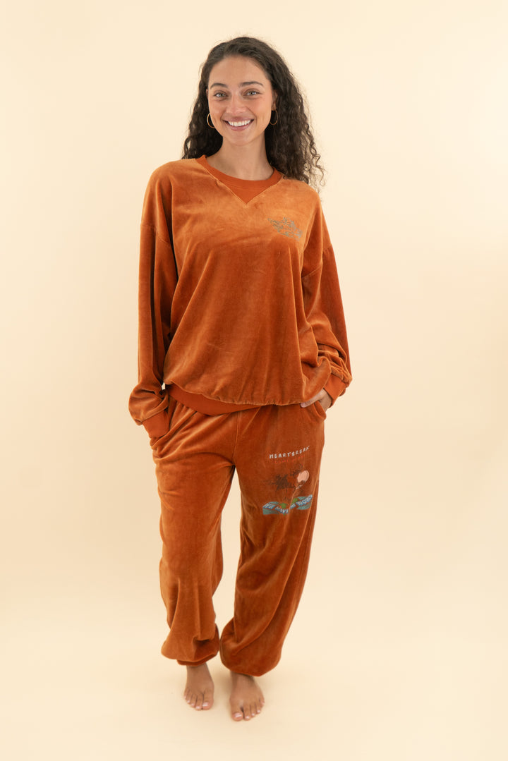 boys lie burnt orange velvety sweat set (m; retail $240)