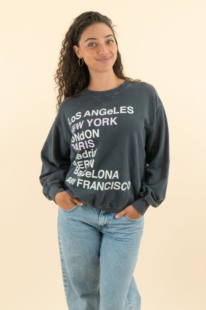 anine bing navy cities sweatshirt (m)