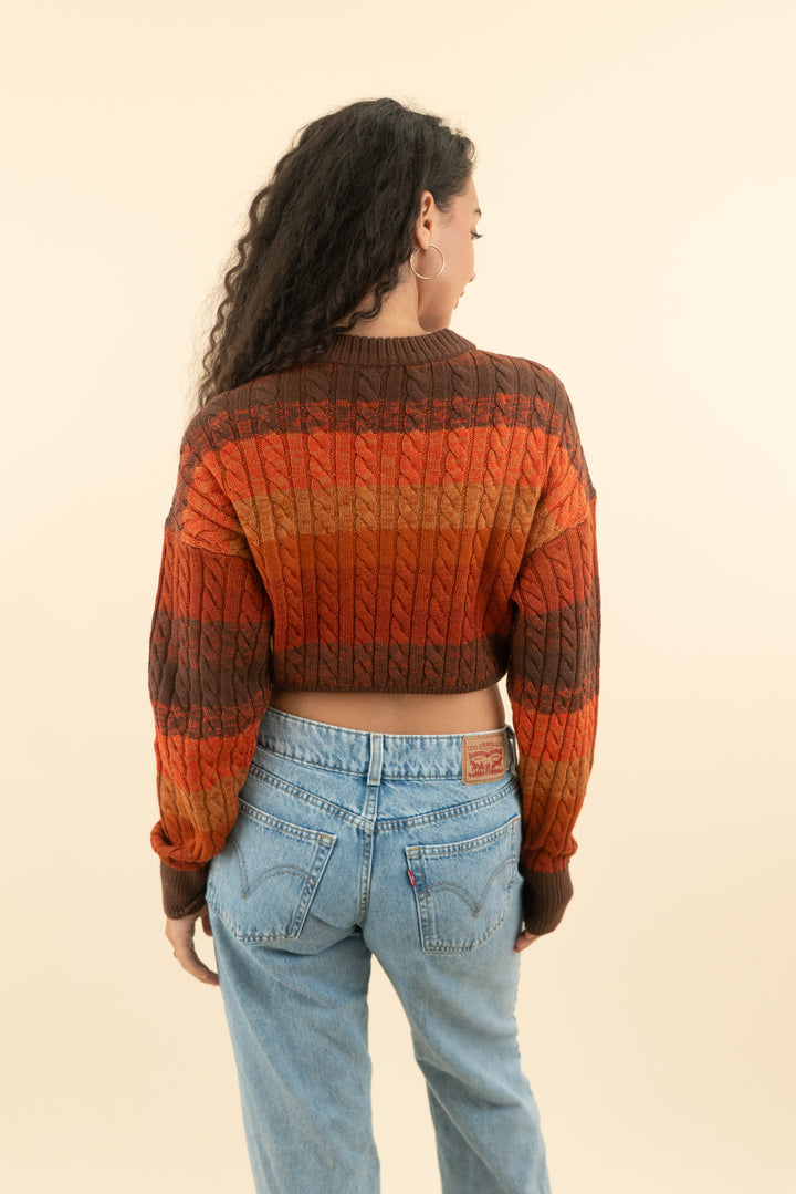 AUCTION ronny kobo burnt orange striped cropped knit sweater (s)