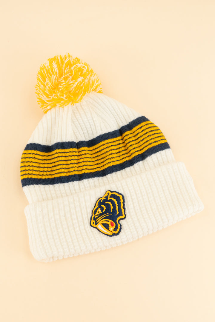 AUCTION nhl nashville predators winter classic beanie (os)