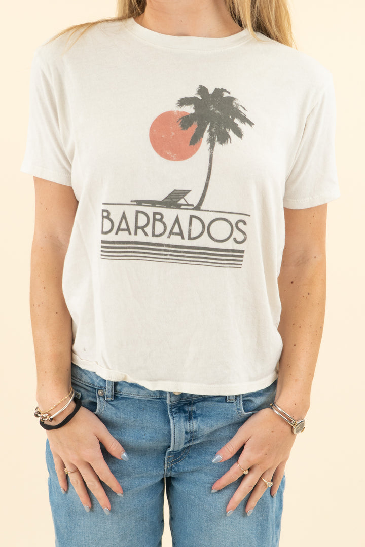 david lerner cream barbados tee (s; retail $70)
