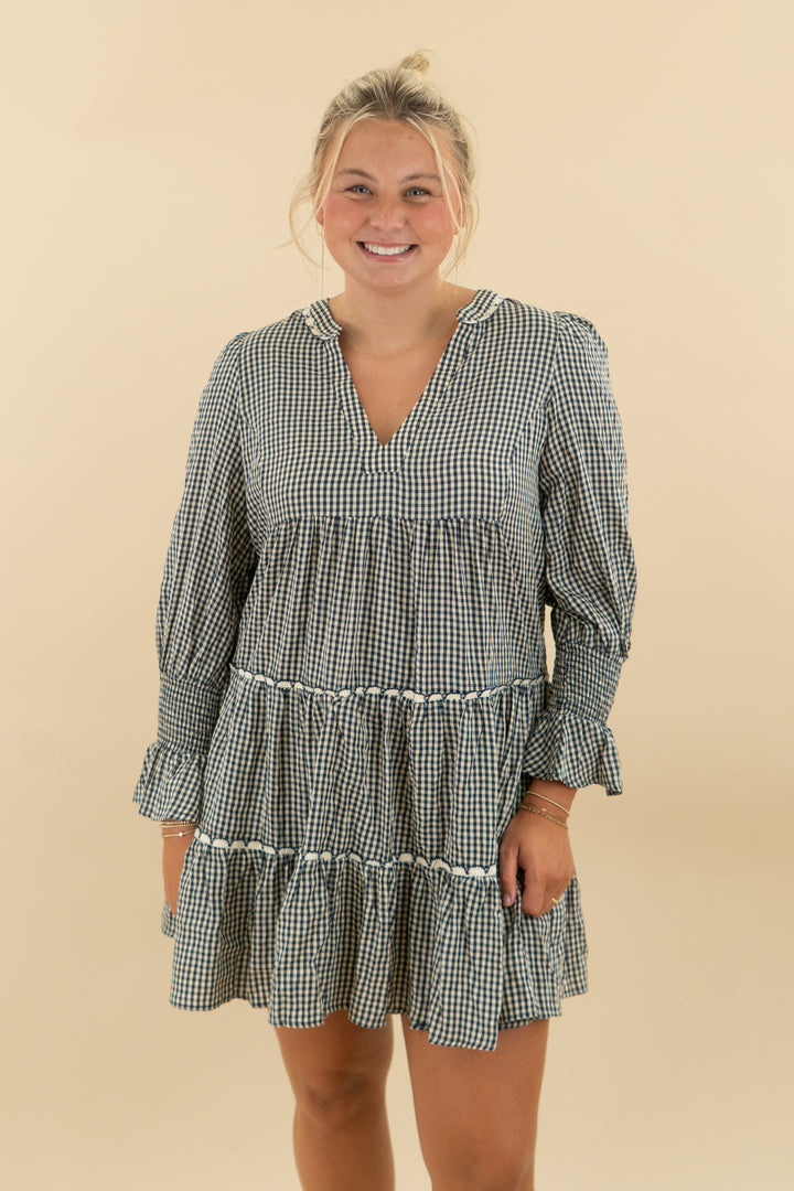 Pomander Navy Gingham Dress nwt (l; retail $140)