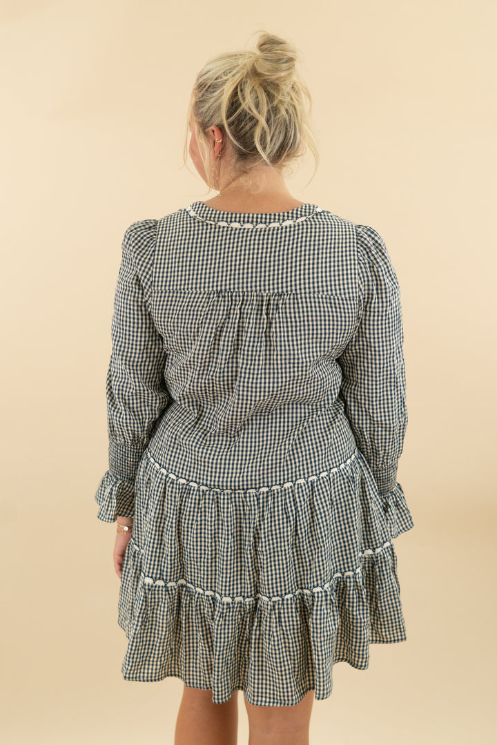 Pomander Navy Gingham Dress nwt (l; retail $140)