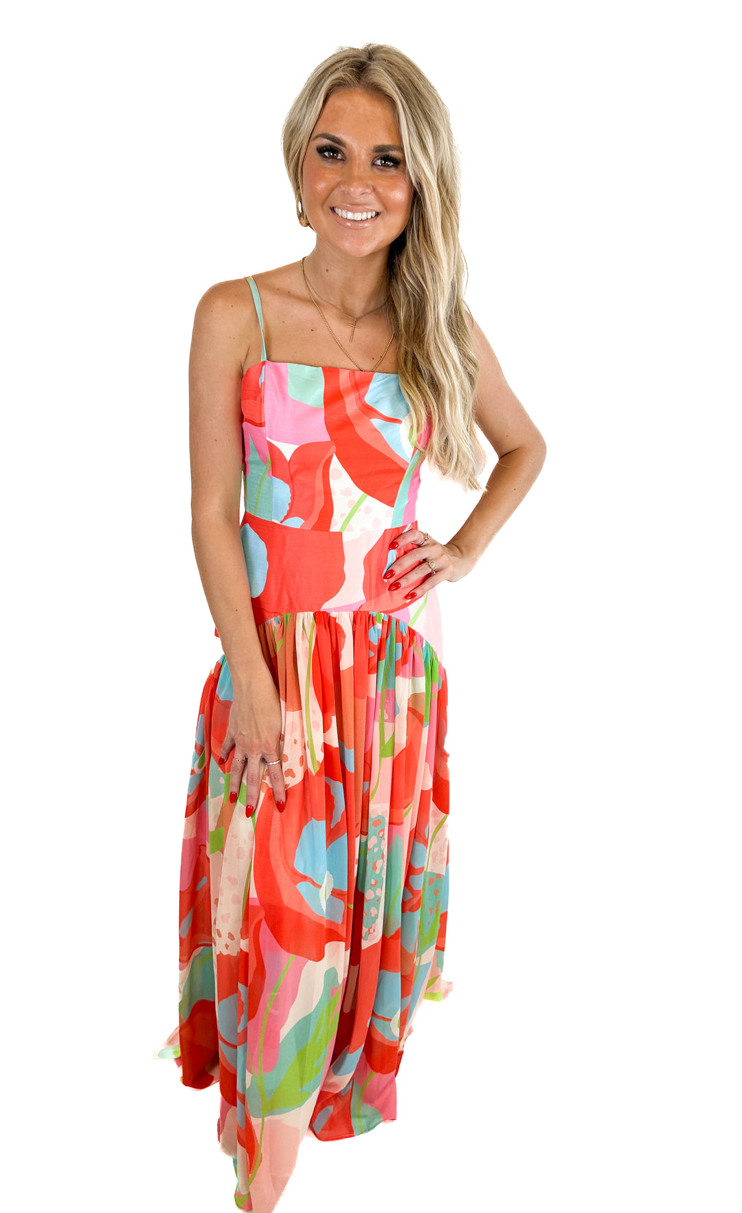 Hutch Floral Print Maxi Dress NWT (0)