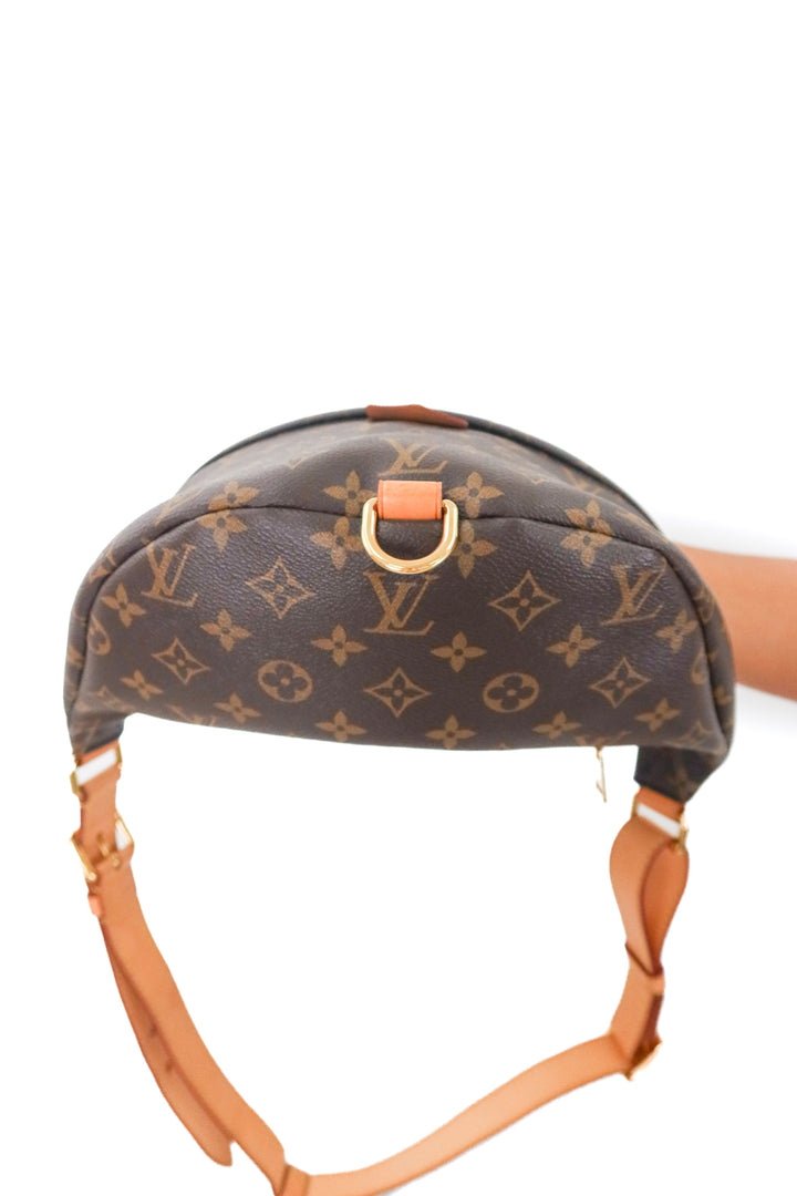 Louis Vuitton Monogram Bumbag