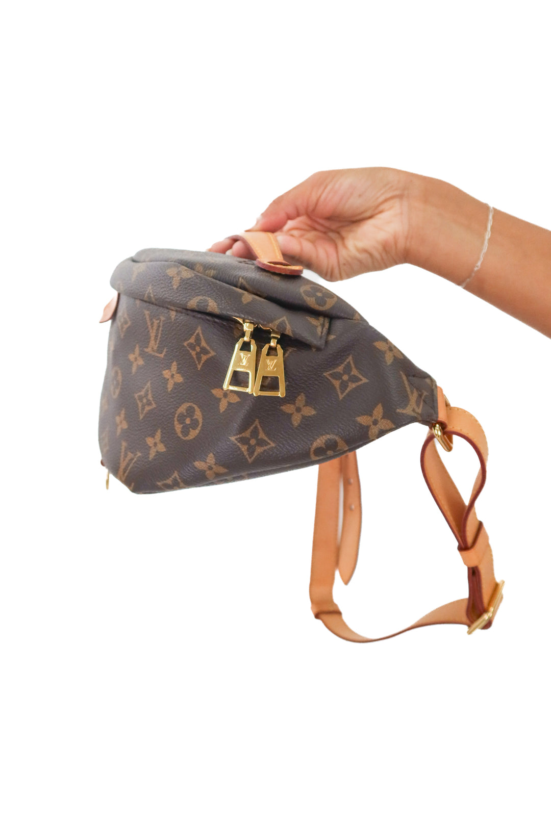 Louis Vuitton Monogram Bumbag