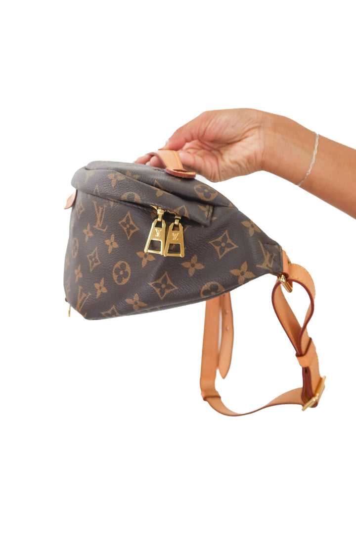 Louis Vuitton Monogram Bumbag