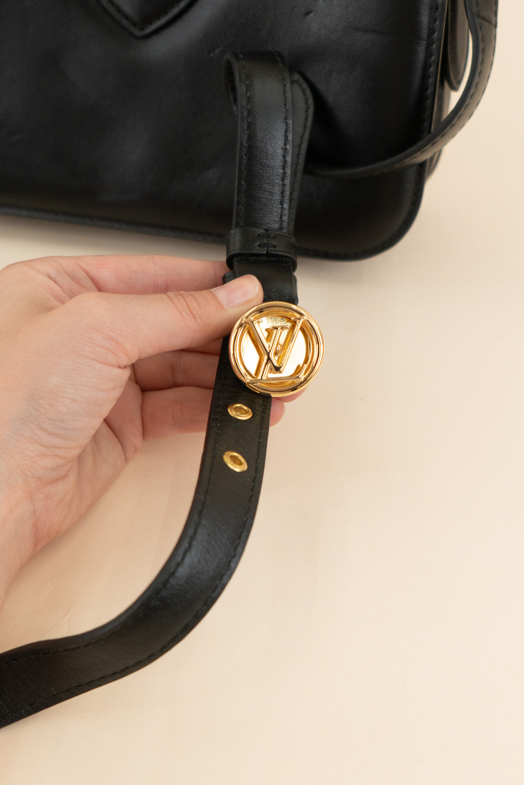 Louis Vuitton Pont 9 crossbody (est. retail $4,200)