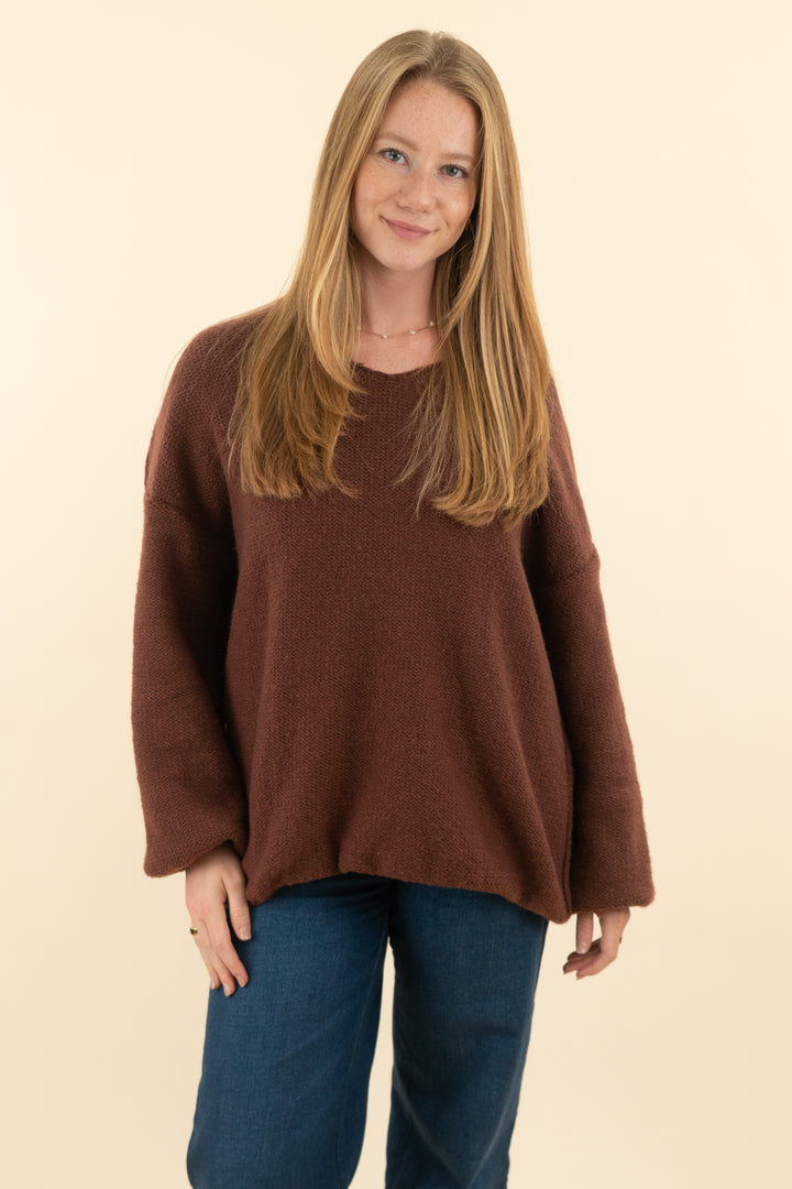 chocolate brown oversized v neck sweater (m; retail $45)