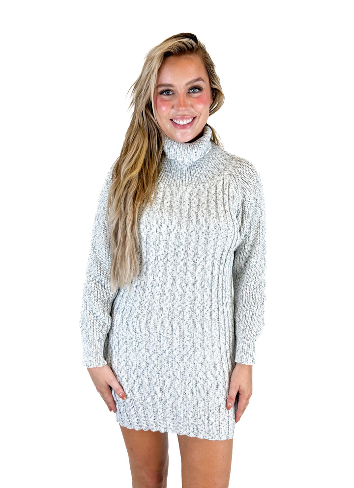Petal & Pup Blue and White Marled Knit Dress (L)