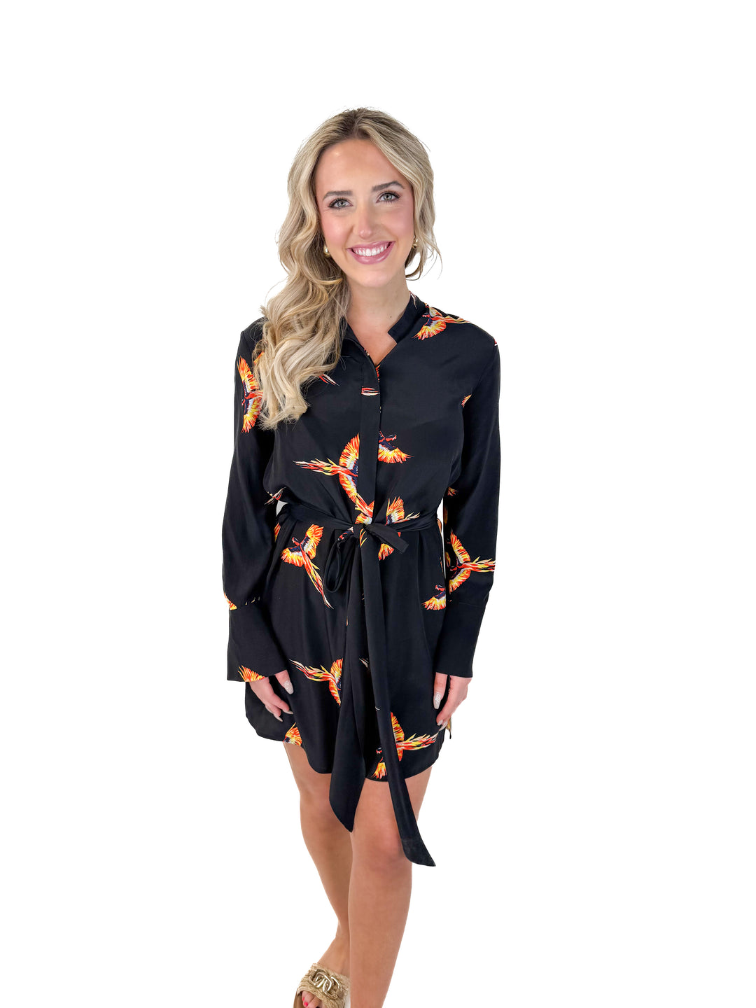 SOLD: Diane von furstenberg bird button up dress (xs)