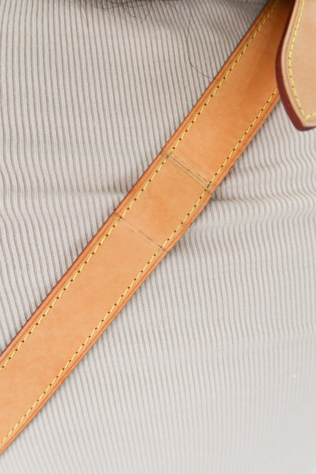 Louis Vuitton Monogram Bumbag