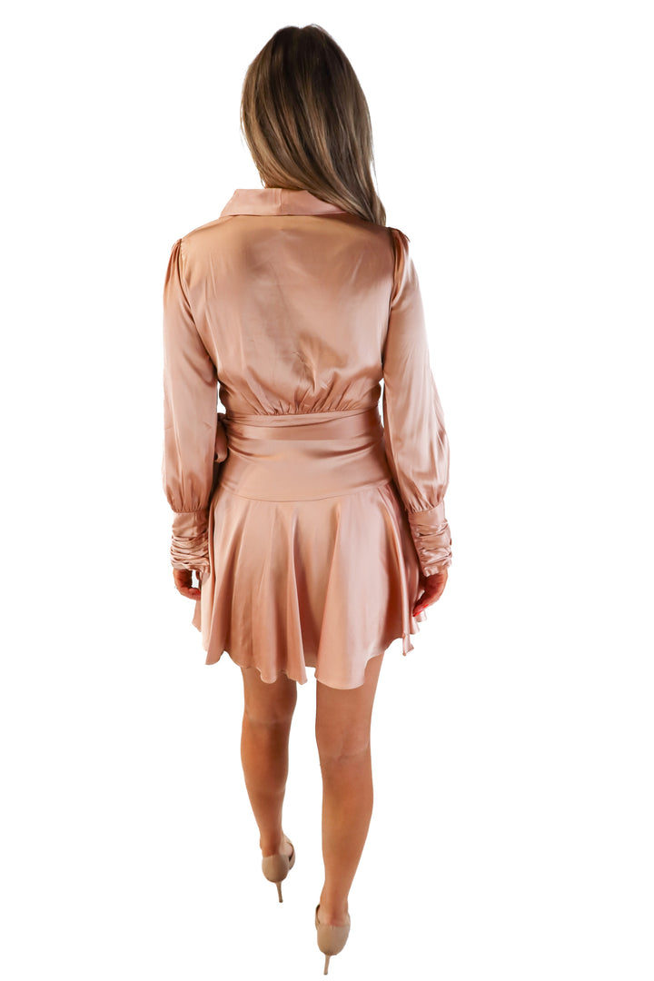 Vici brown faux wrap dress (s; retails for $74)