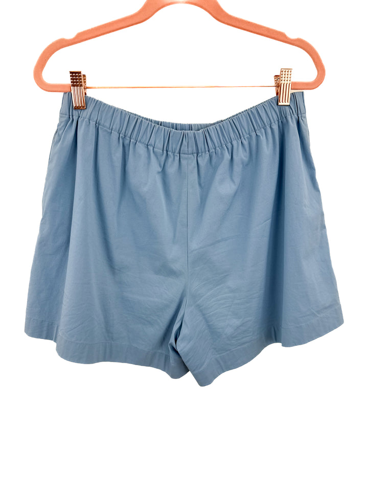 Theory Double-Layer Boxer Short (M; retail $245)