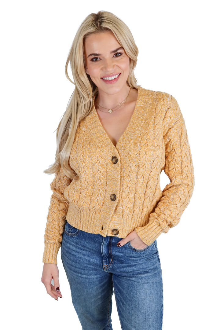 Naadam cable knit sweater cardigan (S; retail $350)