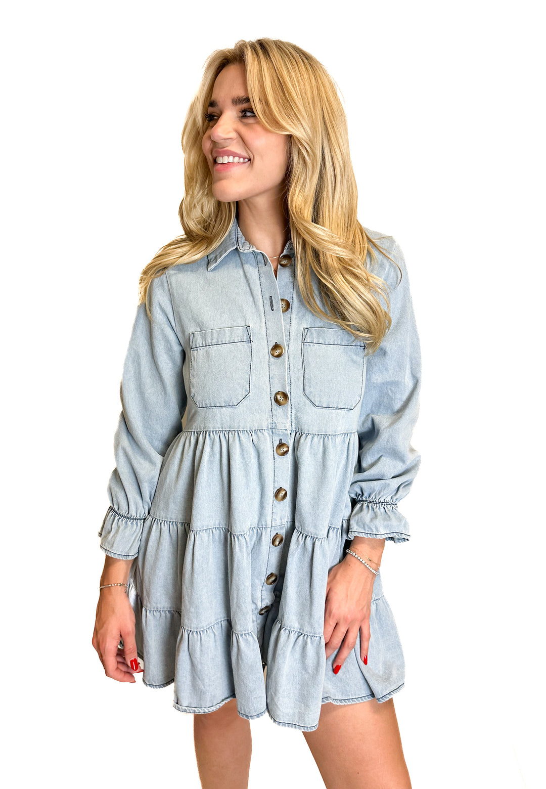 Petal & Pup Chambray Mini Dress (2)