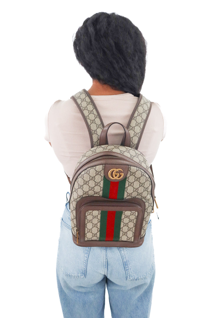 Gucci Ophidia Backpack