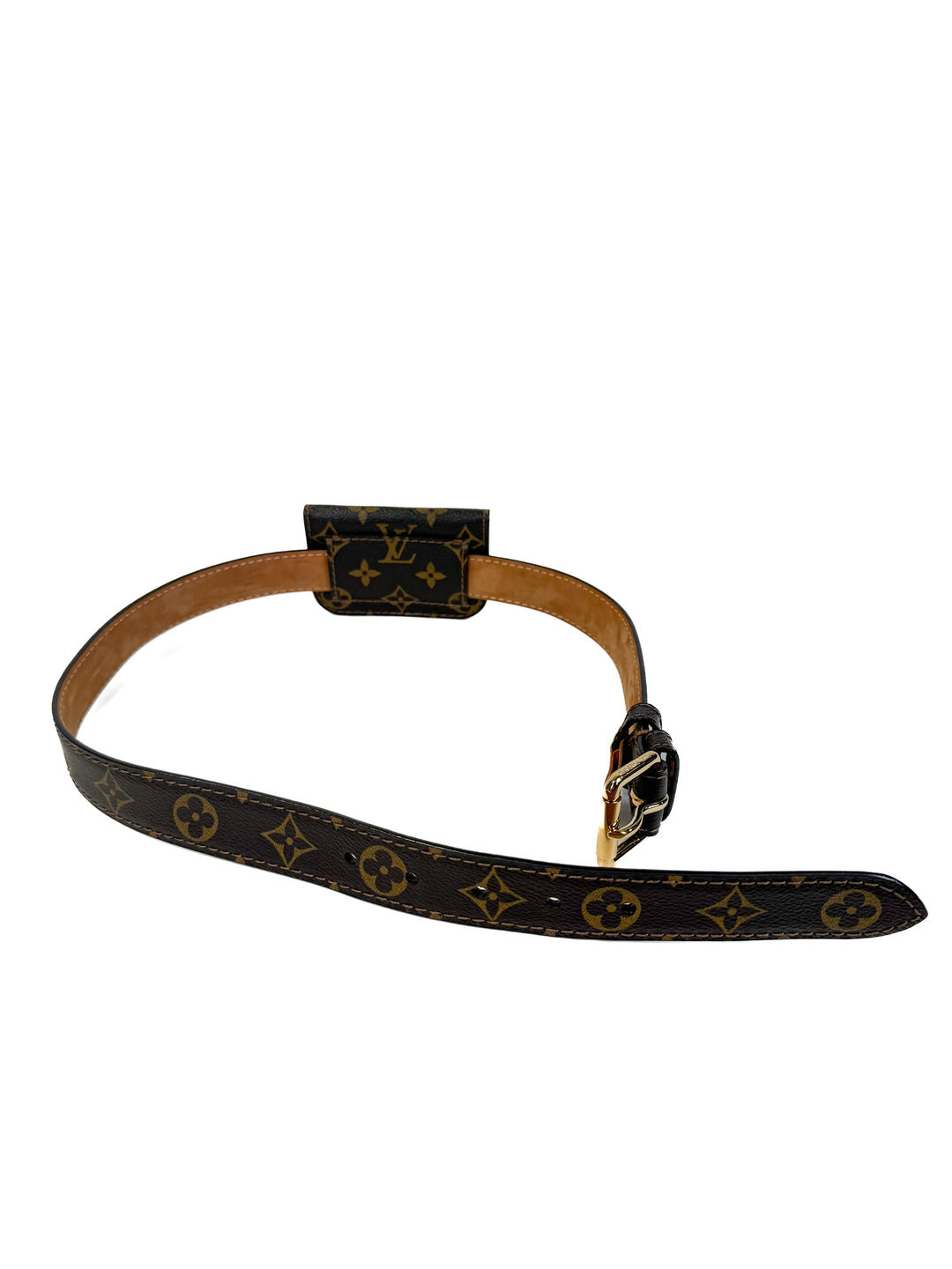 Louis Vuitton Belt Bag (vintage)