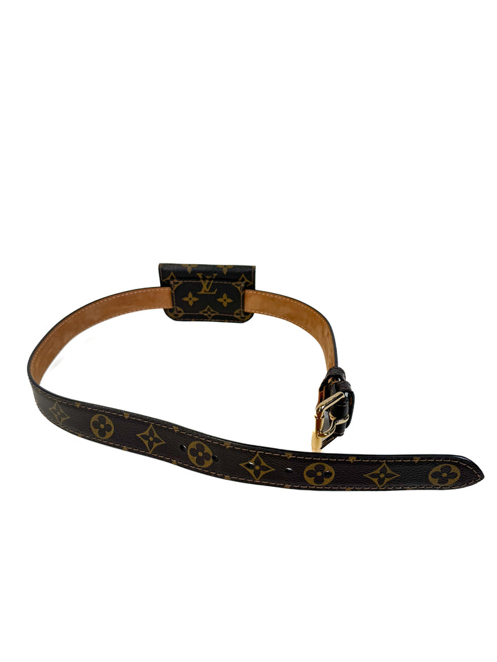 Louis Vuitton Belt Bag (vintage)