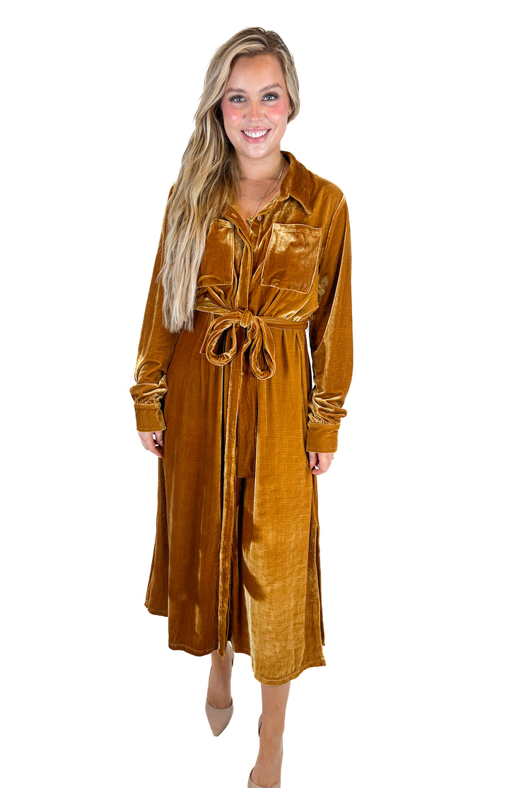 Aura Bronze Velvet Maxi Dress (L)