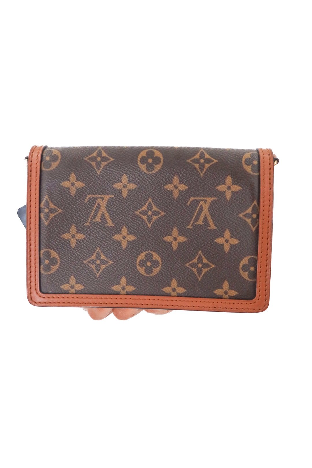 Louis Vuitton Dauphine Wallet on Chain