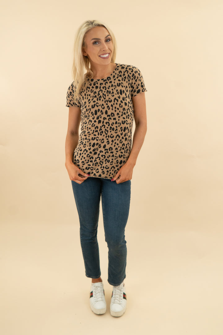j.crew cashmere leopard short sleeve top (s; retail $128)