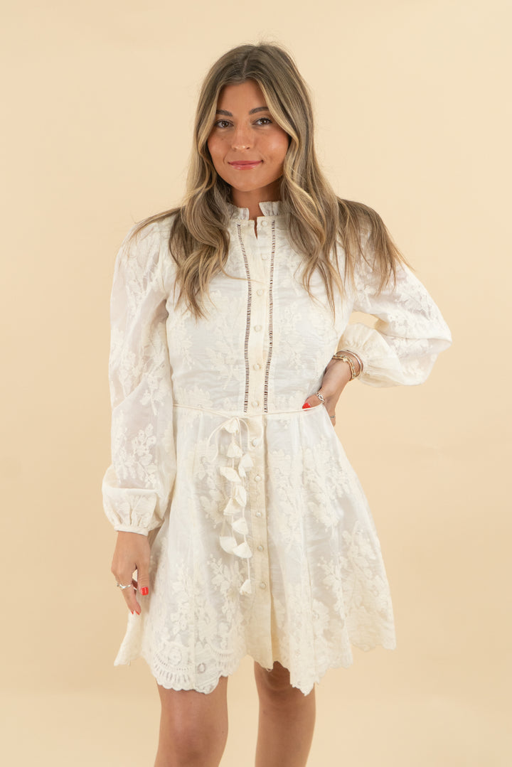 LucyParis Valetta Mini Dress nwt (xs; retail $130)