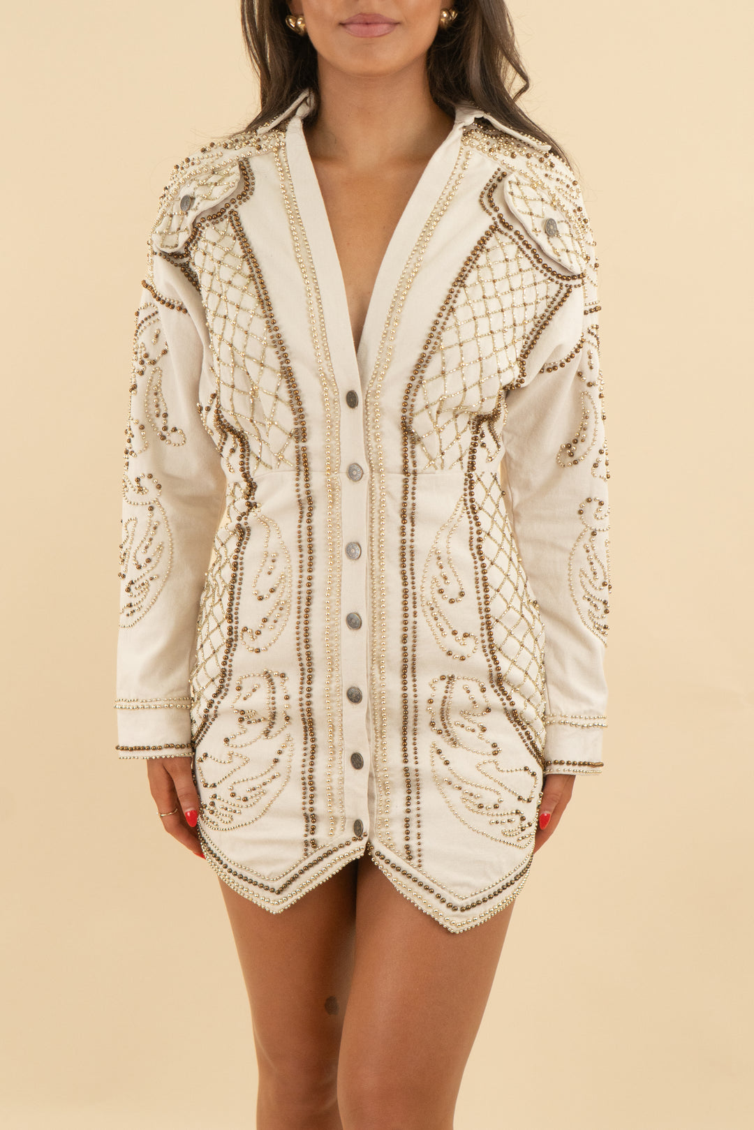 asos design long sleeve embellished dress nwt (4; retail $200)