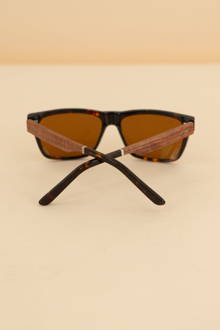 proof tortoise sunglasses (os; retail $120)