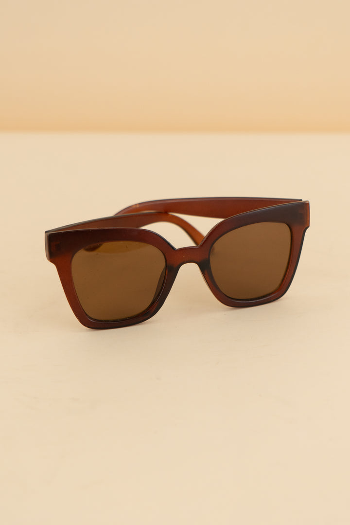 warby parker brown sunglasses (os; retail $95)