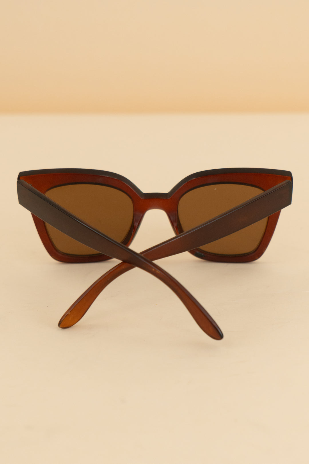 warby parker brown sunglasses (os; retail $95)