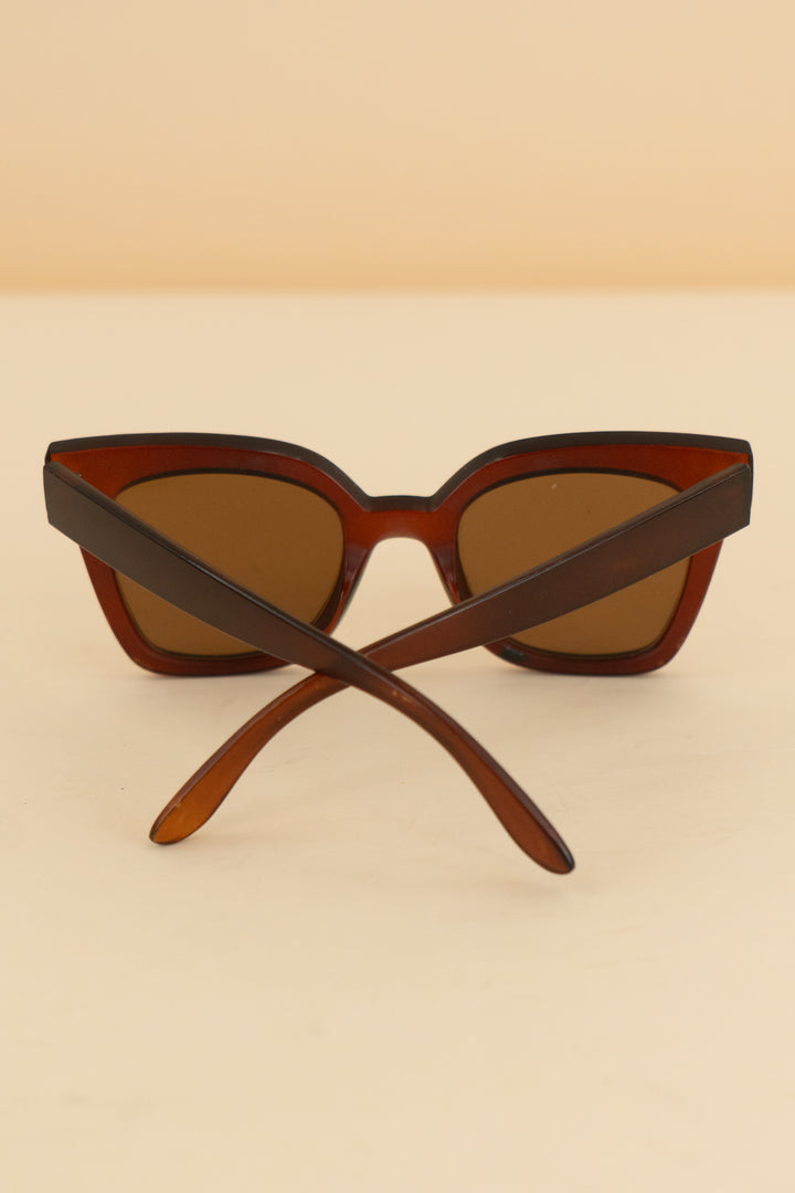 warby parker brown sunglasses (os; retail $95)