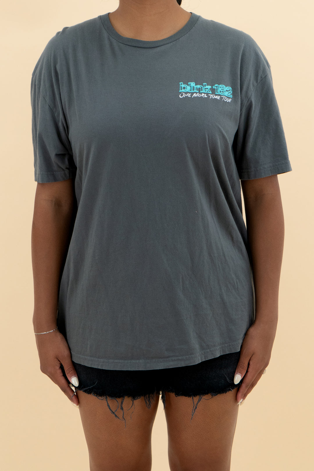 Blink 182 grey tour tee (xl; retail $50)