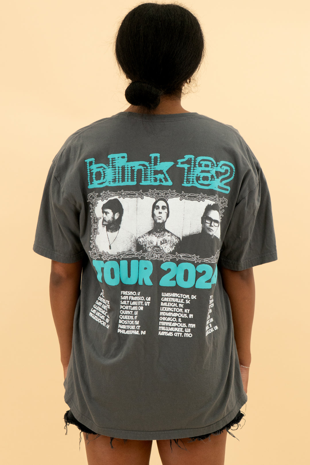 Blink 182 grey tour tee (xl; retail $50)