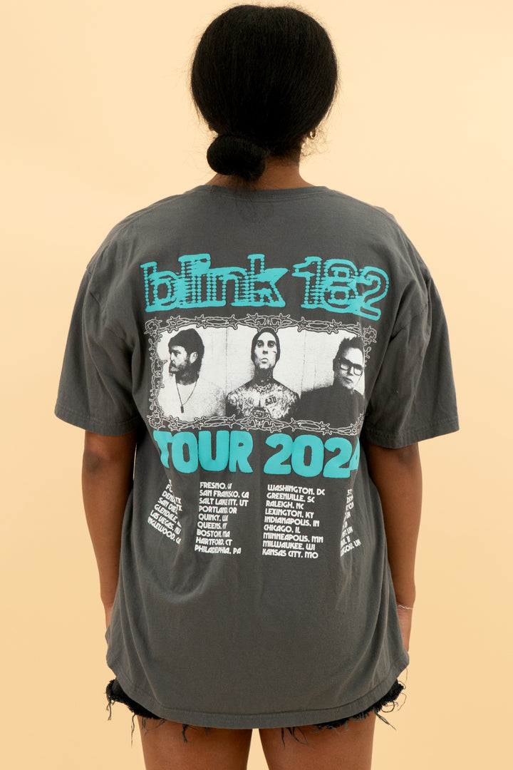Blink 182 grey tour tee (xl; retail $50)