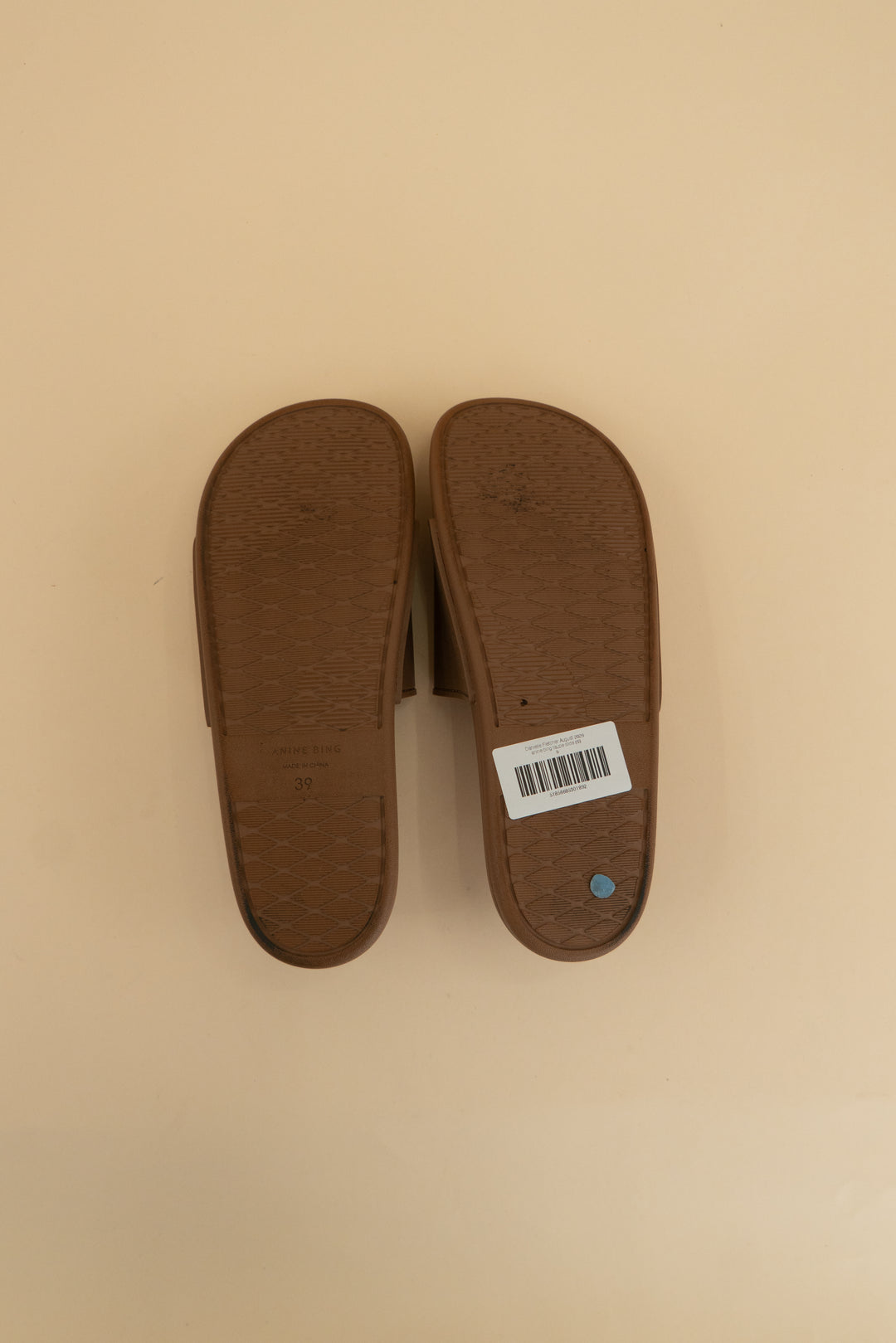 anine bing taupe slide (9)