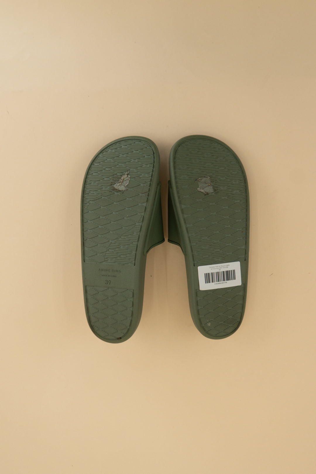 anine bing green slide (9)