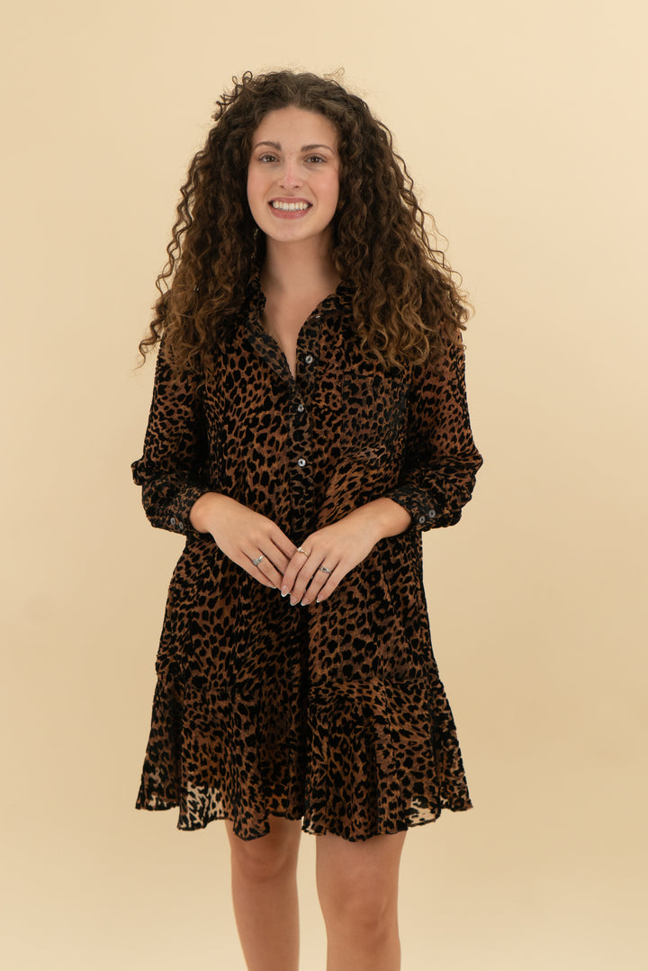 tuckerneck long sleeve leopard mini dress (s)