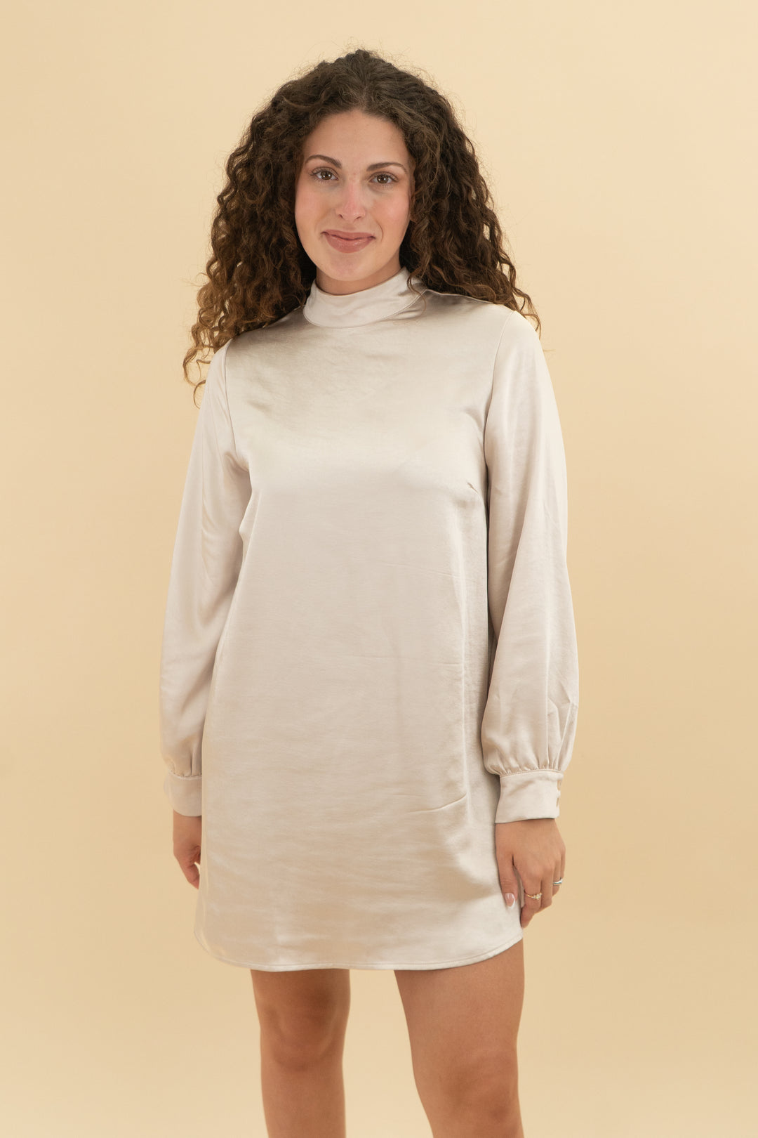 candidly chan champagne long sleeve dress nwt (s)