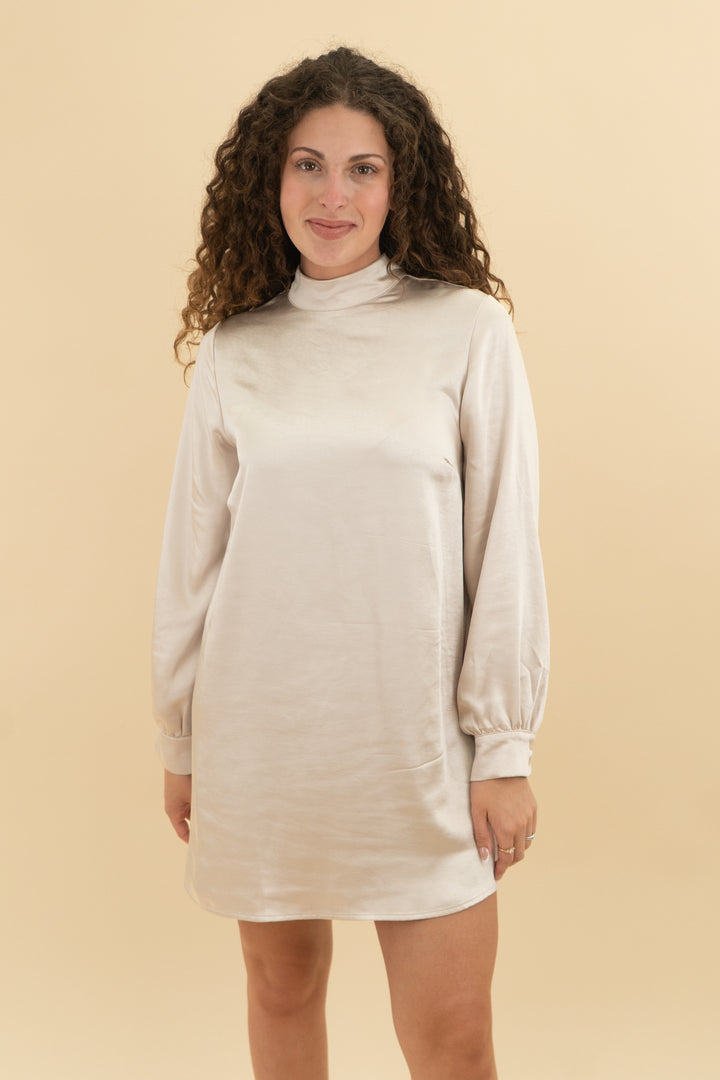 candidly chan champagne long sleeve dress nwt (s)