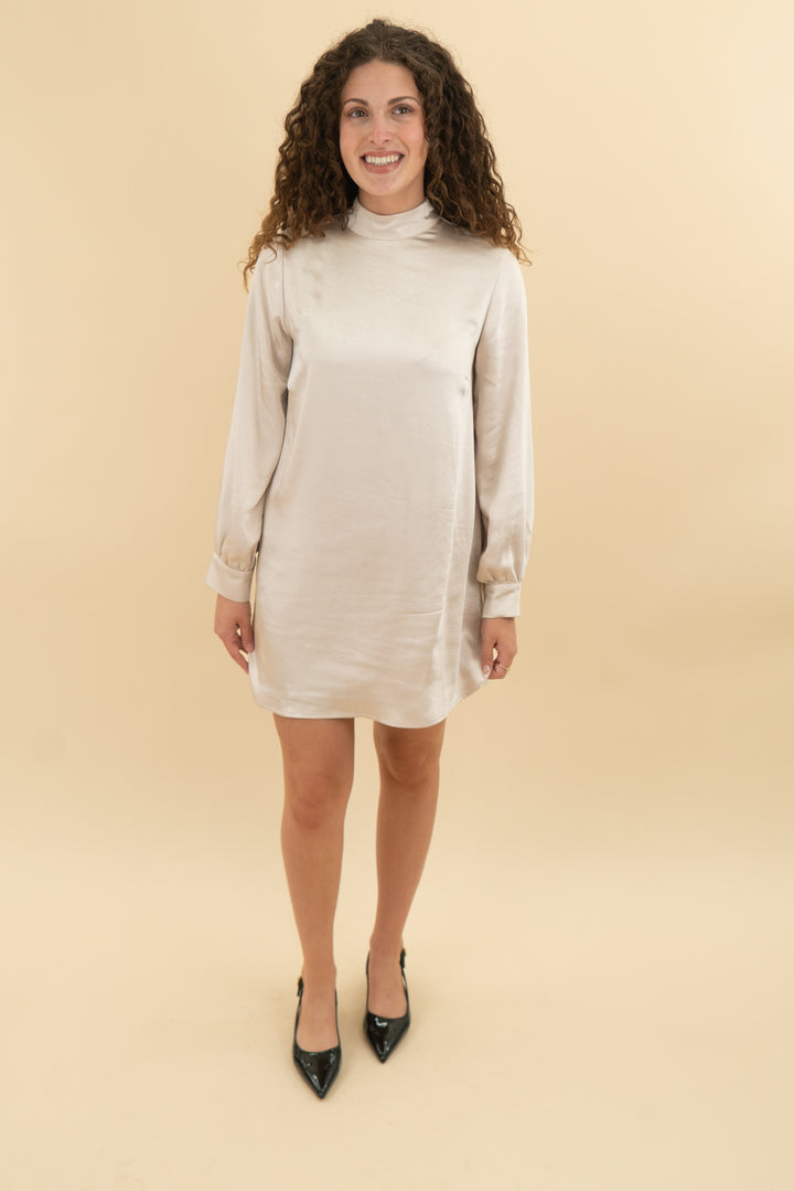 candidly chan champagne long sleeve dress nwt (s)