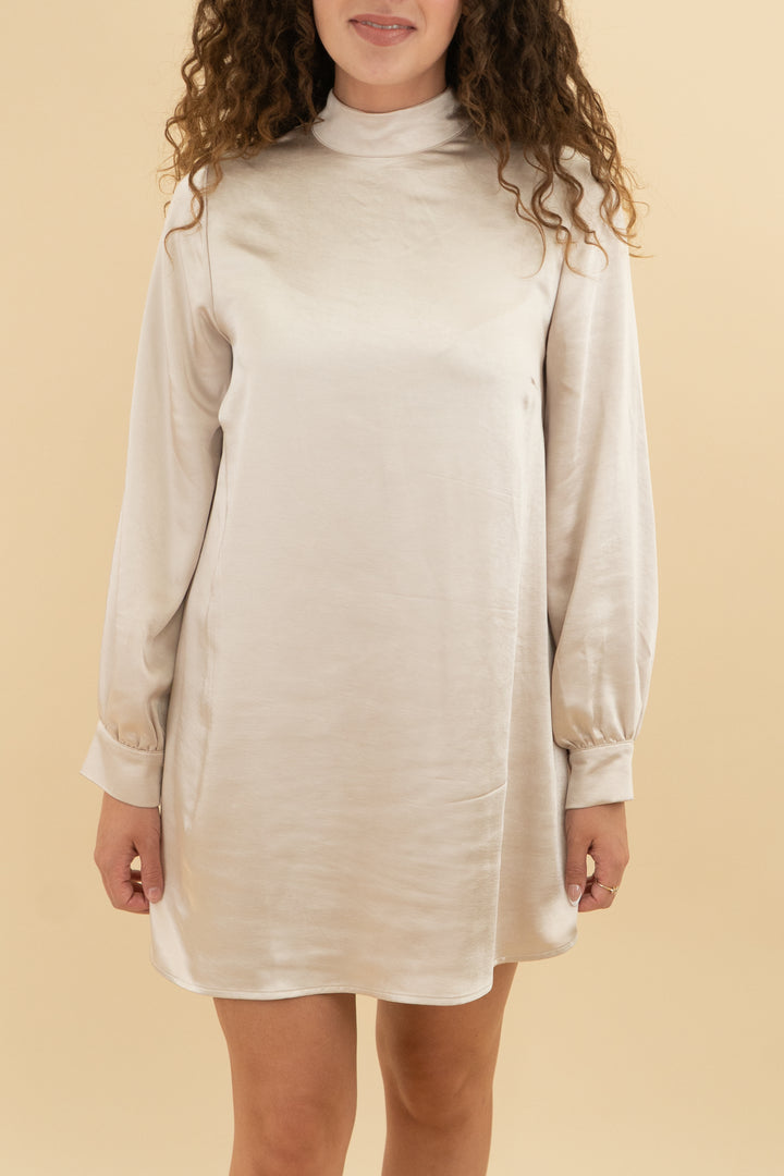 candidly chan champagne long sleeve dress nwt (s)