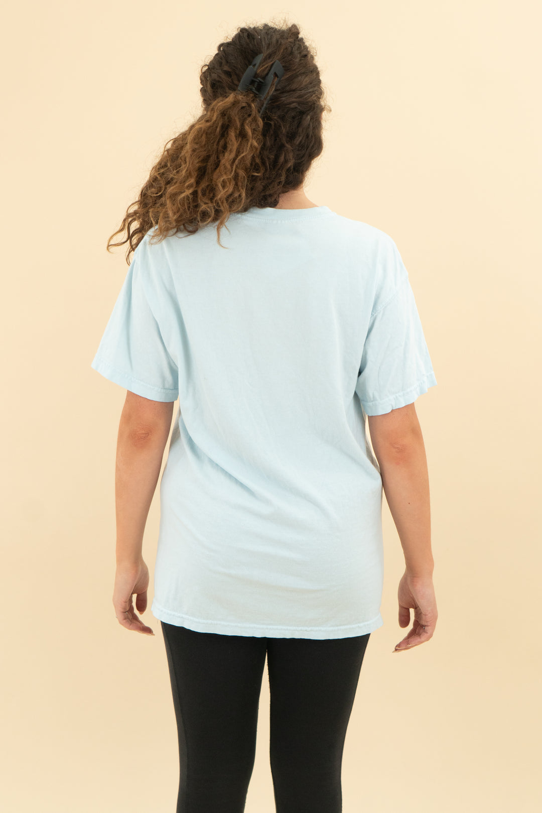 comfort colors norris lake tee (m)