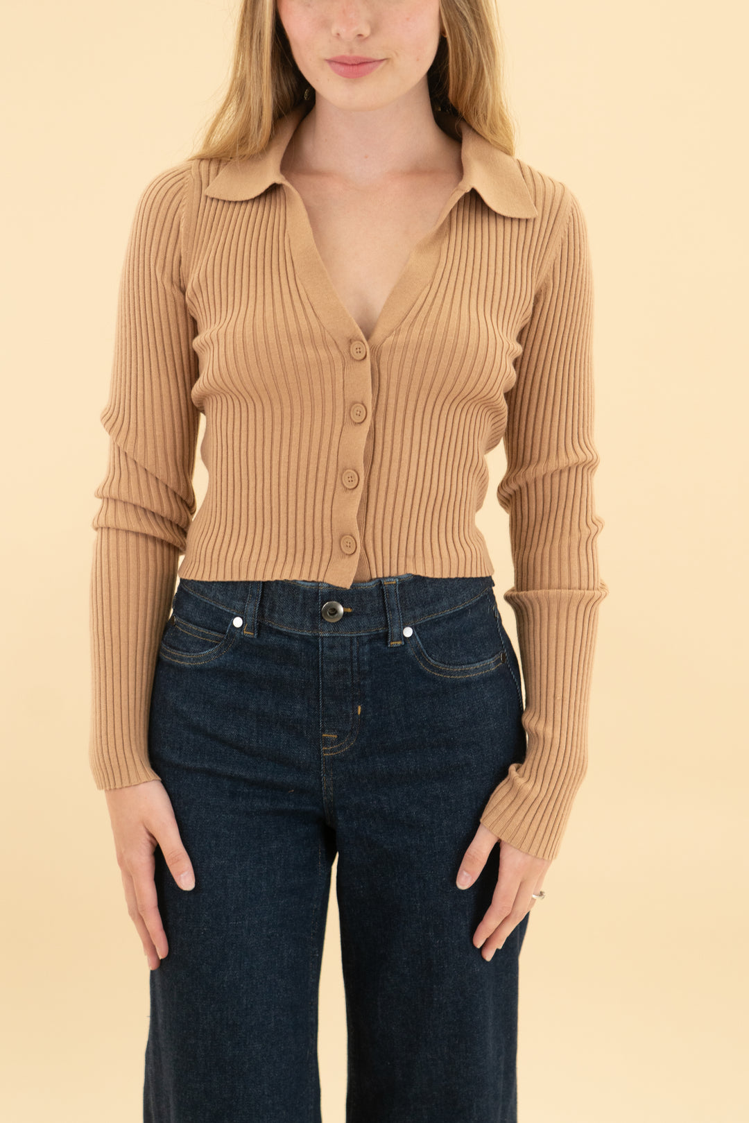 aerie brown ribbed top nwt (xs; retail $49.95)