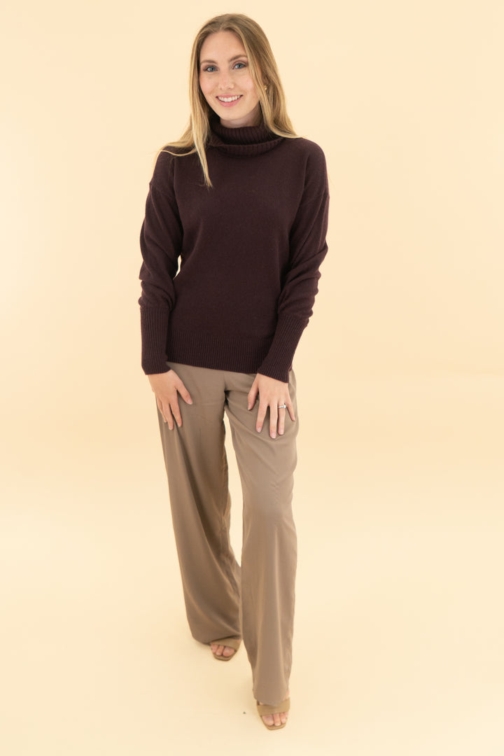 abercrombie & fitch brown pant (xs)