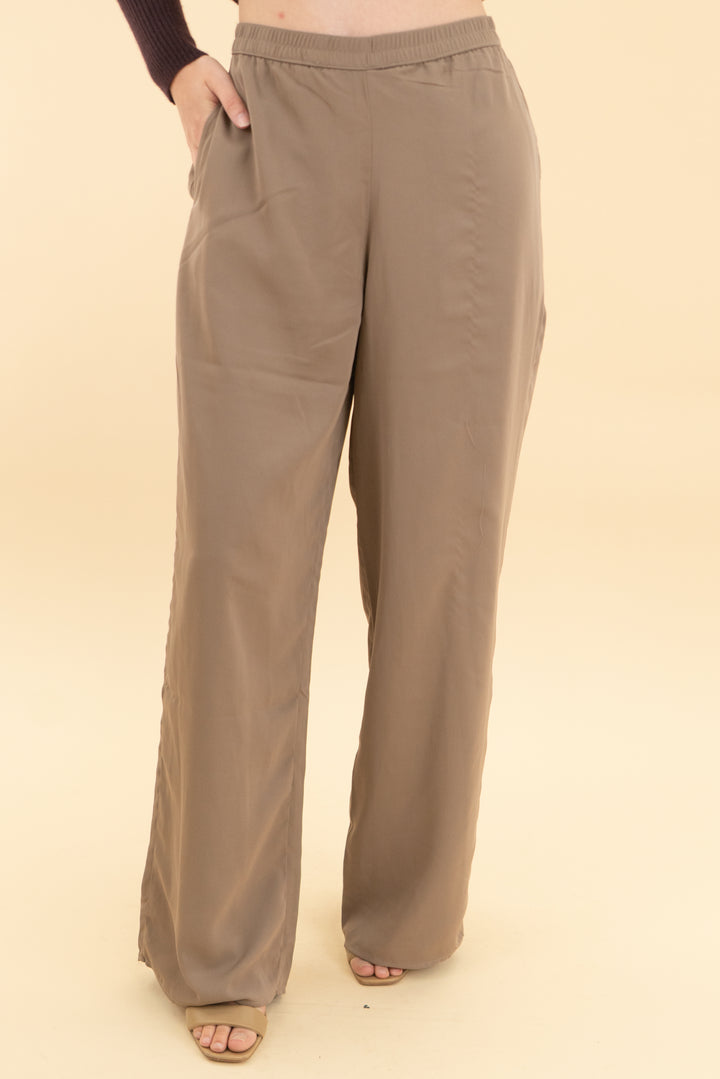 abercrombie & fitch brown pant (xs)