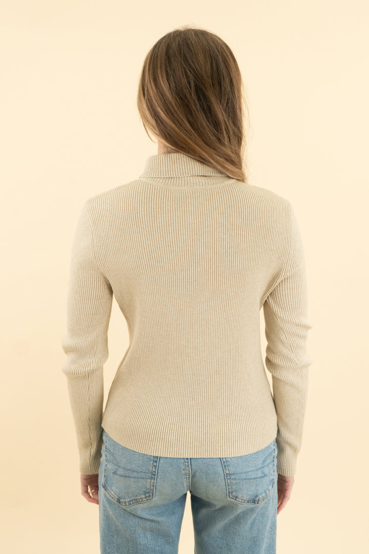 cielo tan ribbed knit turtleneck top (s; retail $32)