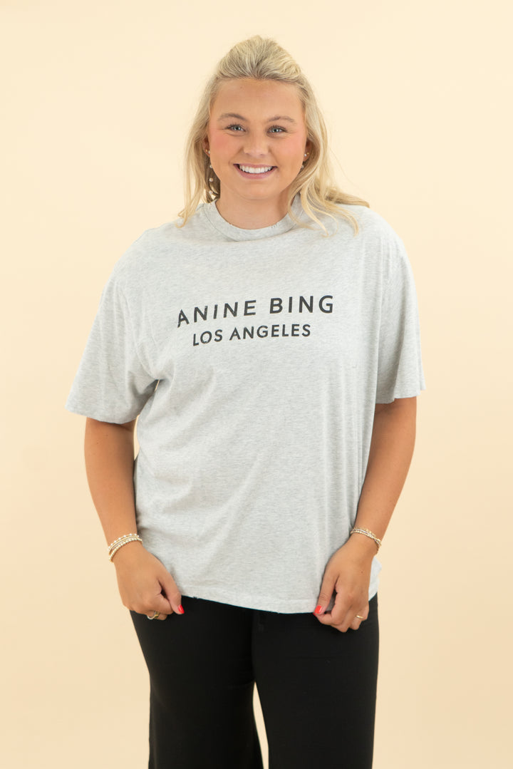 anine bing light grey t shirt (m)