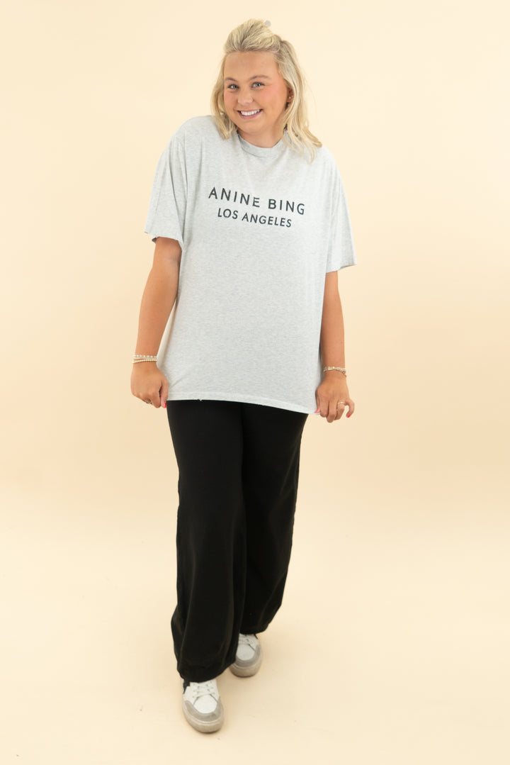 anine bing light grey t shirt (m)