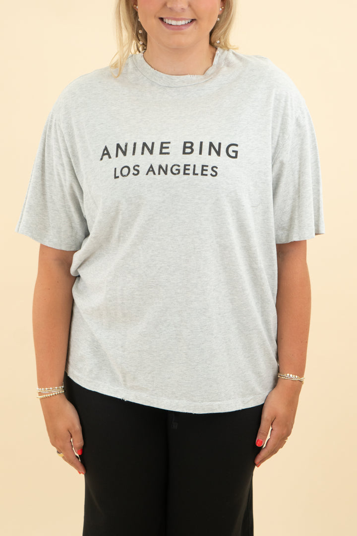 anine bing light grey t shirt (m)